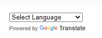 Default Appearance of Google Translate